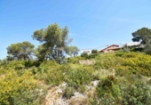 Land suitable for development for sale on España, Canyelles, ref: TR404720 photo