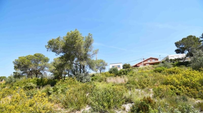 Barcelona - les Palmeres - 800m2