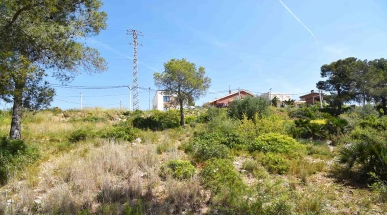 Barcelona - les Palmeres - 800m2
