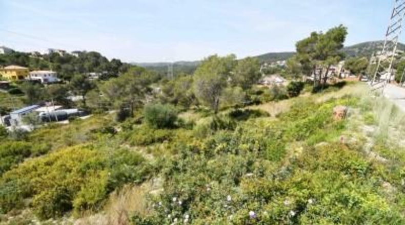 Barcelona - les Palmeres - 800m2