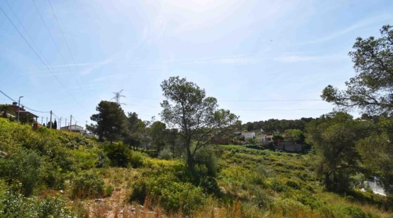 Barcelona - les Palmeres - 800m2