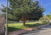 Sòl urbà en venda a la España, Ortigosa del Monte, ref.: TR404736 foto