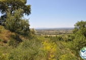 Terreny no urbanitzable en venda a la España, Palau-saverdera, ref.: TR404751 foto