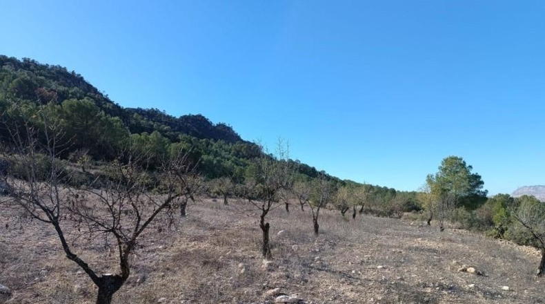 Valencia - Valencia - 14000m2