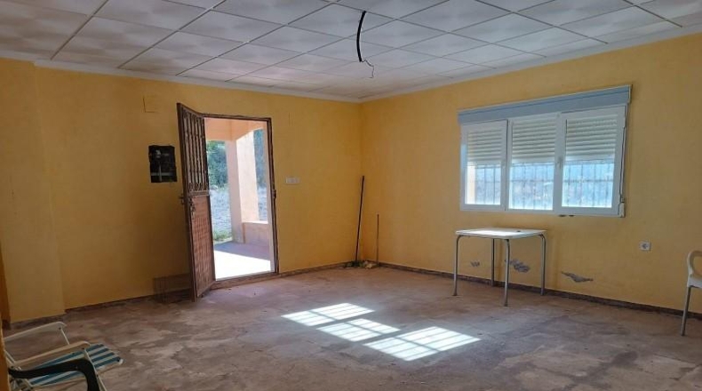 Valencia - Valencia - 14000m2