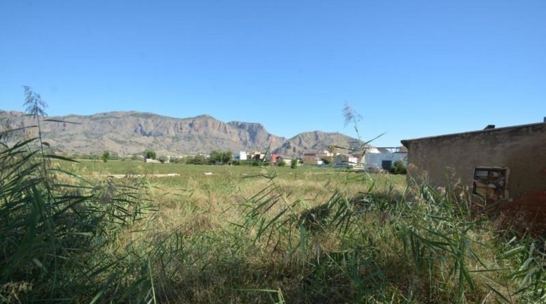Alicante - Orihuela - 969m2
