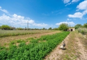Country house with land for sale on España, Santa Margalida, ref: TR404759 photo