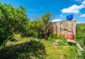 Country house with land for sale on España, Santa Margalida, ref: TR404759 photo