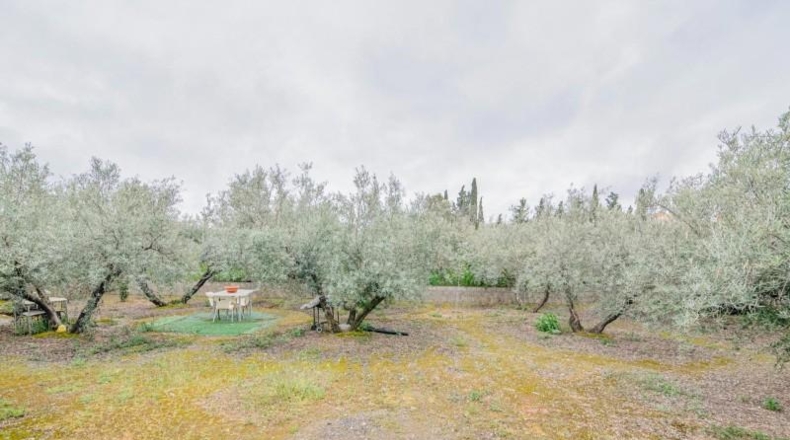 Granada - Ogíjares - 645m2