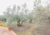 Non-developable land for sale on España, Ogíjares, ref: TR404760 photo