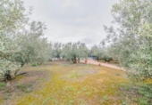 Non-developable land for sale on España, Ogíjares, ref: TR404760 photo