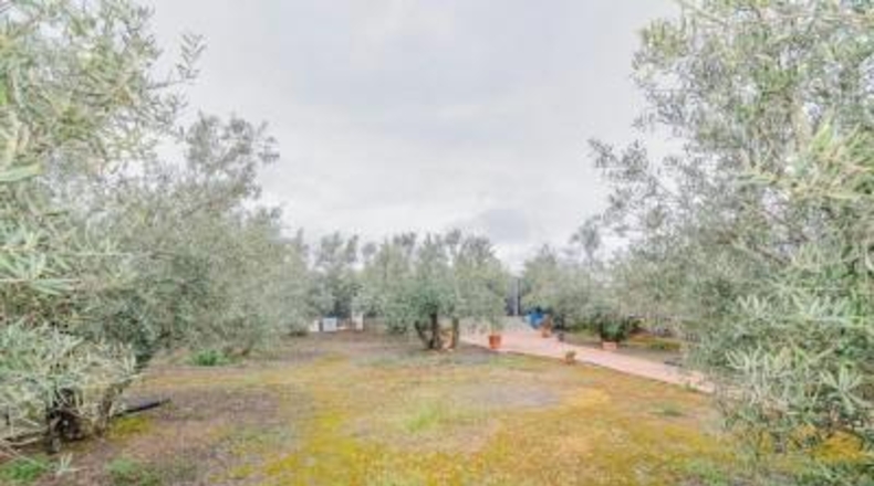 Granada - Ogíjares - 645m2