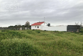 Almonte 10000&nbsp;м²