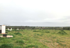 Almonte 10000&nbsp;м²