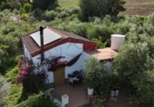 Casa de campo con terreno en venta en la España, Las Cabezas de San Juan, ref: TR404764 foto