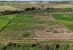 Las Cabezas de San Juan 46935&nbsp;m² 