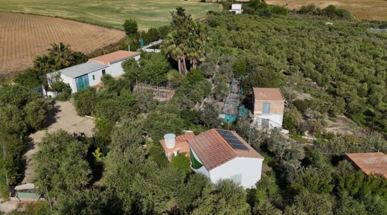 Sevilla - Las Cabezas de San Juan - 46935m2