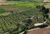 Casa de campo con terreno en venta en la España, Las Cabezas de San Juan, ref: TR404764 foto