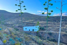 Ingenio 53658&nbsp;m² 