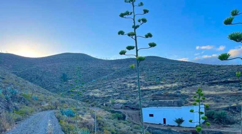 Las Palmas - Santa Lucía de Tirajana - 53658m2