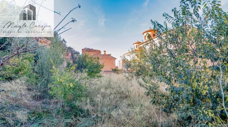 Granada - Vélez de Benaudalla - 1200m2