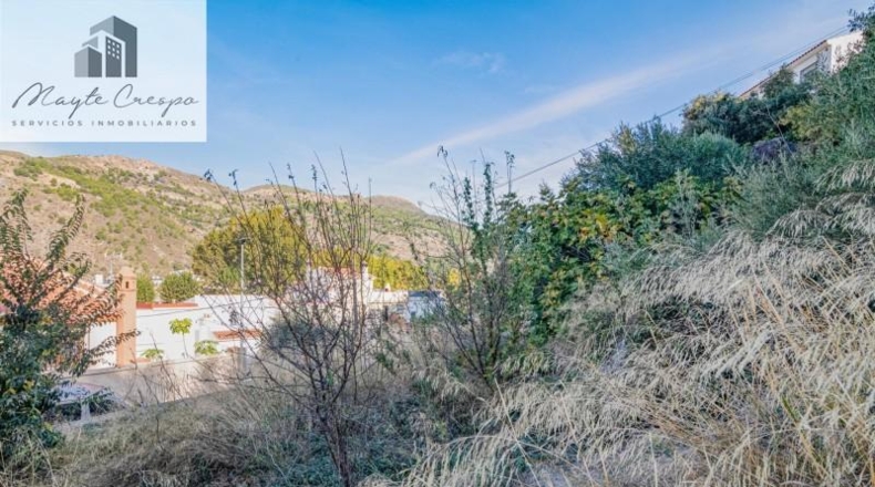 Granada - Vélez de Benaudalla - 1200m2