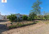 Xalet independent amb terreny en venda a la España, Valdelacalzada, ref.: TR404783 foto