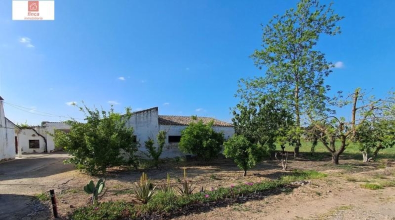Badajoz - Valdelacalzada - 37530m2