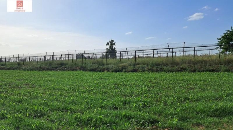 Badajoz - Valdelacalzada - 37530m2