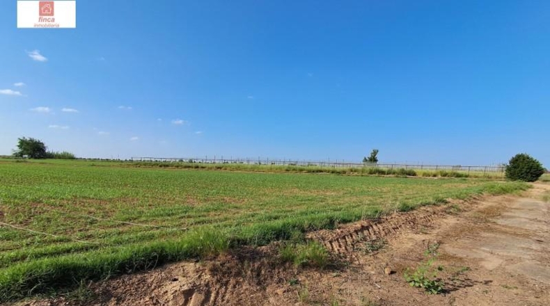 Badajoz - Valdelacalzada - 37530m2