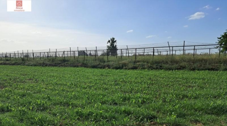 Badajoz - Valdelacalzada - 37530m2