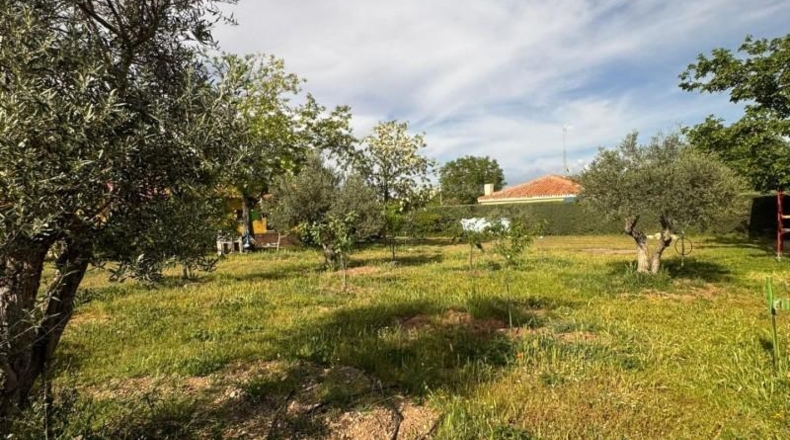 Guadalajara - Albalate de Zorita - 3000m2