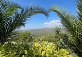 Chalet independiente con terreno en venta en la España, Olivella, ref: TR223127 foto