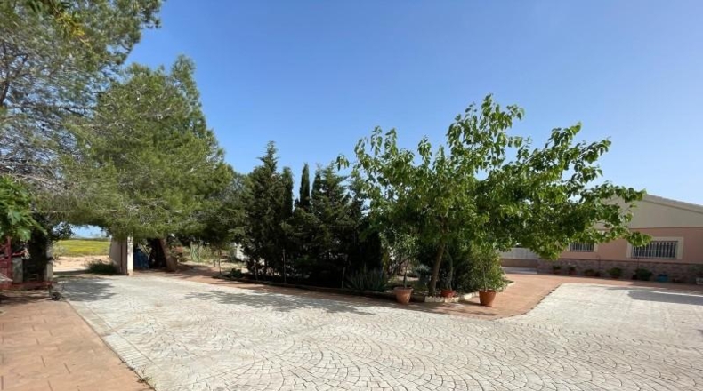 Murcia - Fuente Álamo - 30387m2