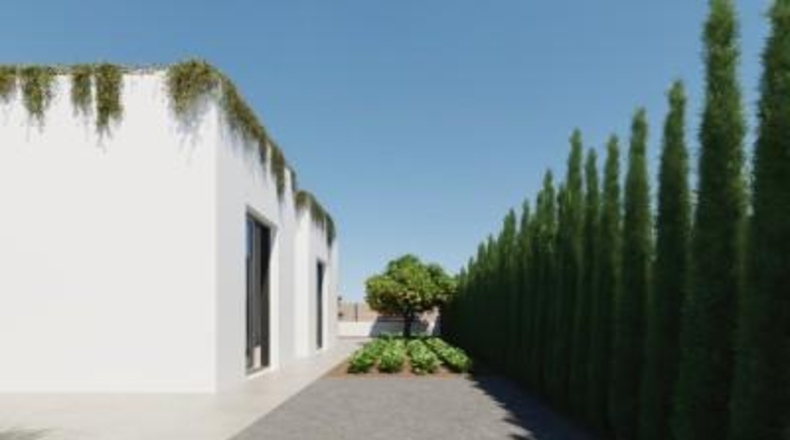 Murcia - Fuente Álamo de Murcia - 471m2