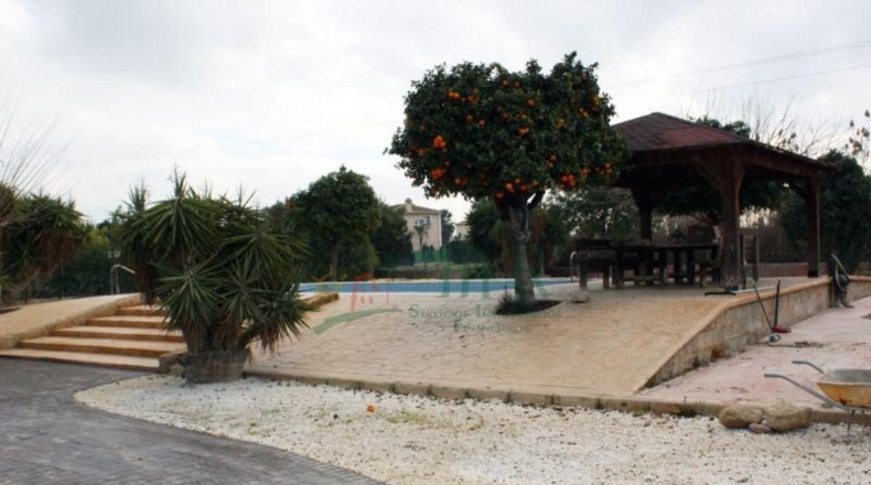 Alicante - Dolores - 10000m2