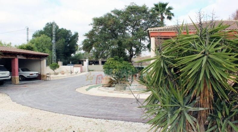 Alicante - Dolores - 10000m2