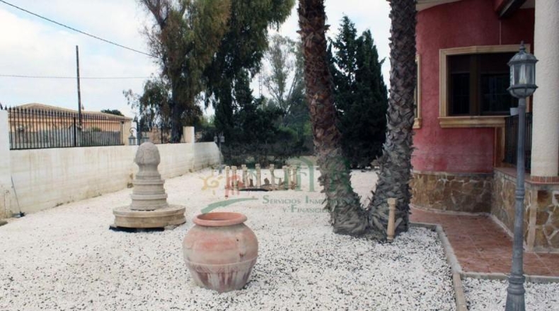Alicante - Dolores - 10000m2