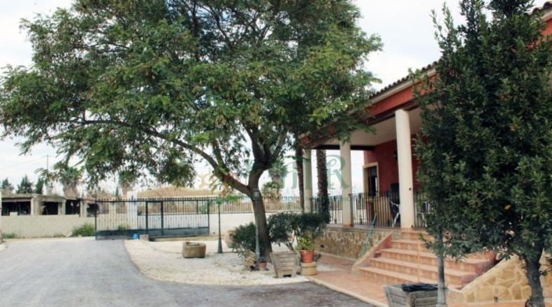 Alicante - Dolores - 10000m2