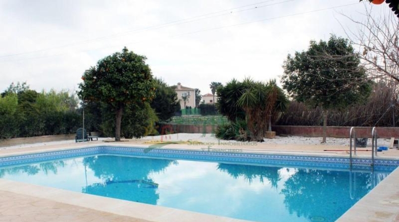 Alicante - Dolores - 10000m2