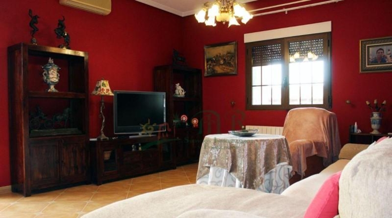 Alicante - Dolores - 10000m2