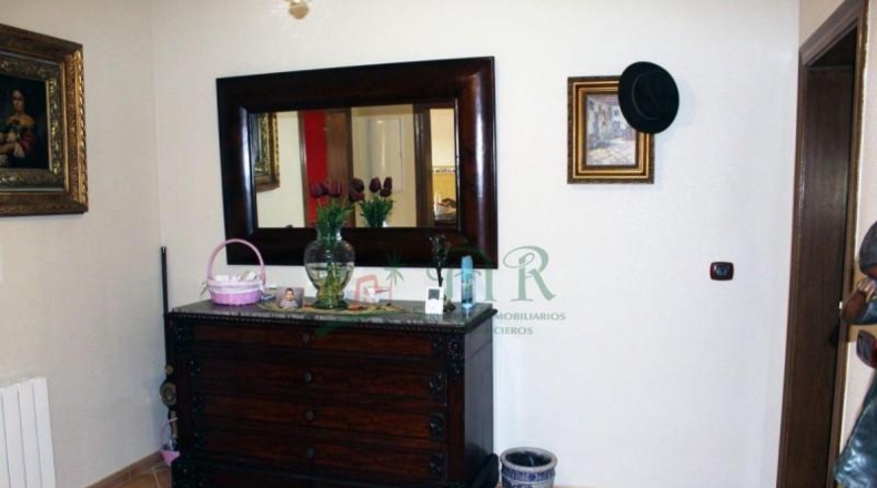 Alicante - Dolores - 10000m2
