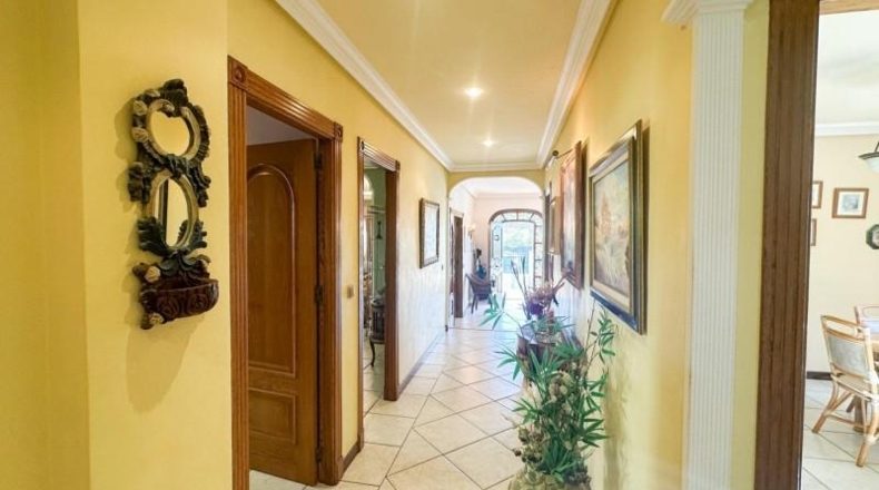 Alicante - Torrevieja - 290m2