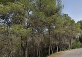 Parcel·la urbanitzable en venda a la España, la Bisbal del Penedès, ref.: TR97225 foto