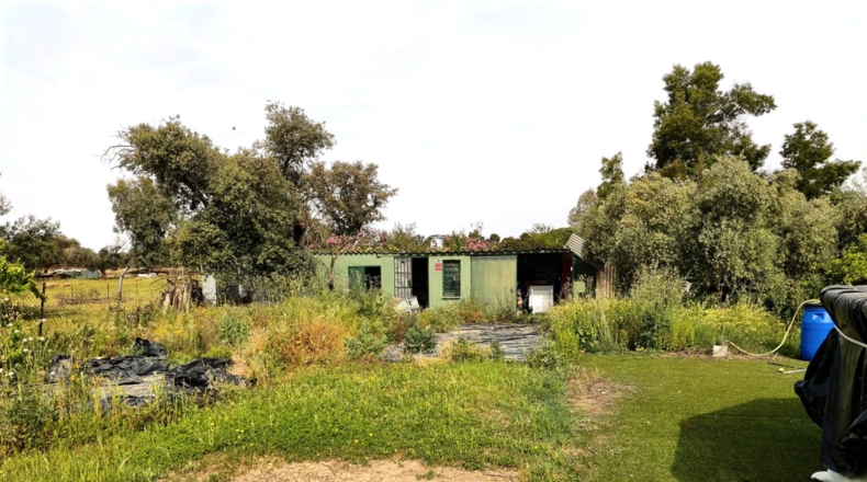 Badajoz - Badajoz - 2500m2