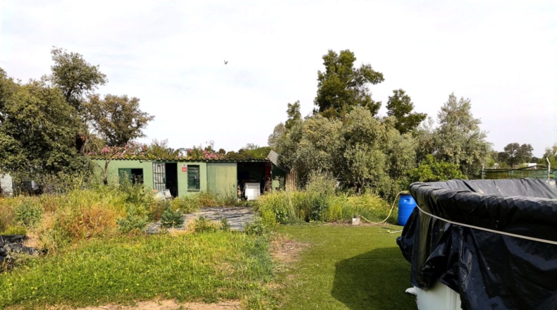 Badajoz - Badajoz - 2500m2