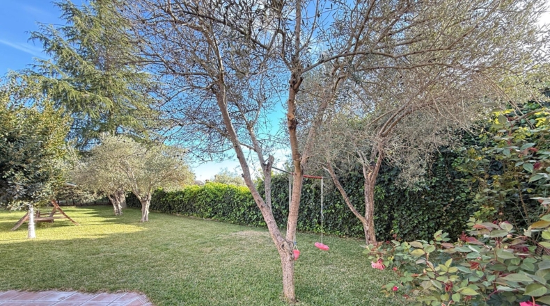 Badajoz - Badajoz - 1463m2