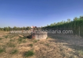 Xalet independent amb terreny en venda a La Carlota ref.: TR369016 foto