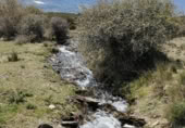 Country house with land for sale on Corral del Álamo s/n, Granada, ref: TR329805 photo
