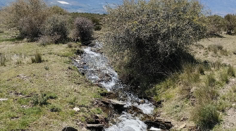 Valencia - Corral del Colero-Serra Perenxisa - 77051m2